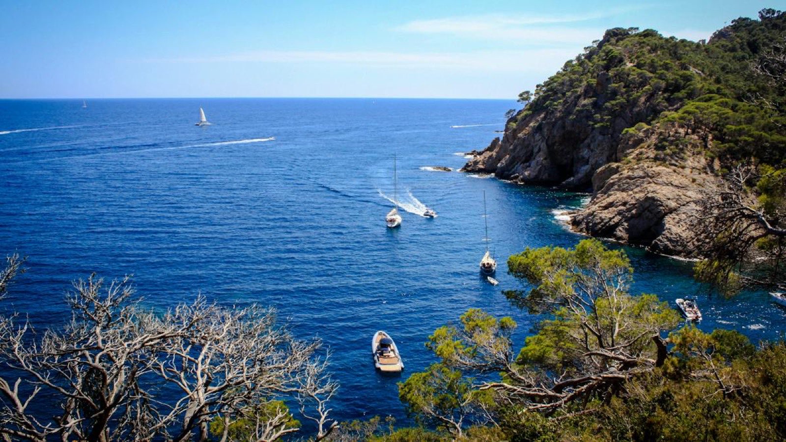 Cala con barcos fondeados, vista desde lo alto