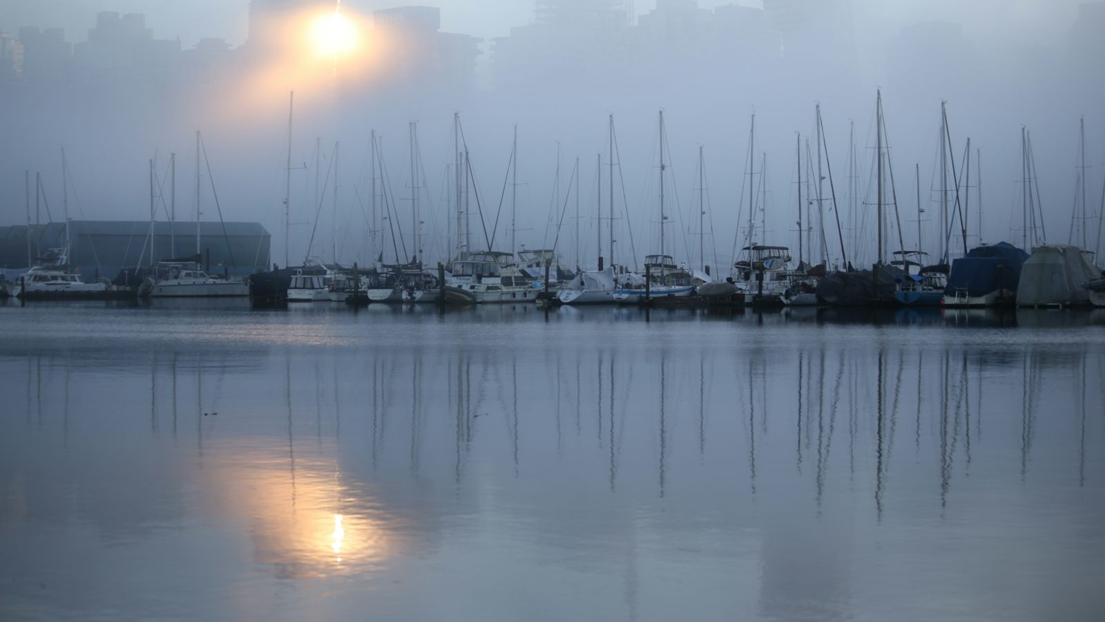 Mástiles de veleros amarrados en un puerto con niebla
